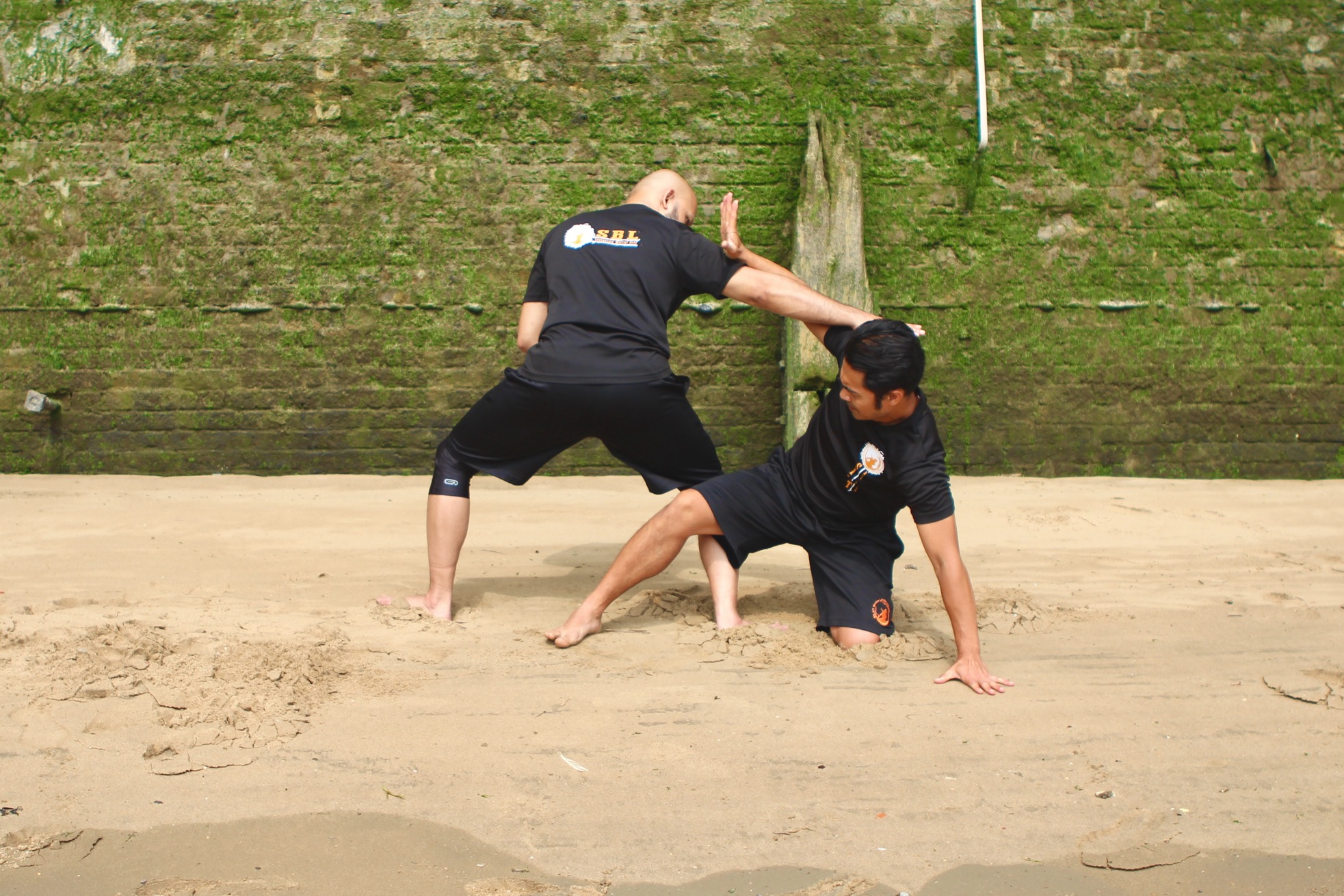 Phase 1 </br> Ground Fighting image