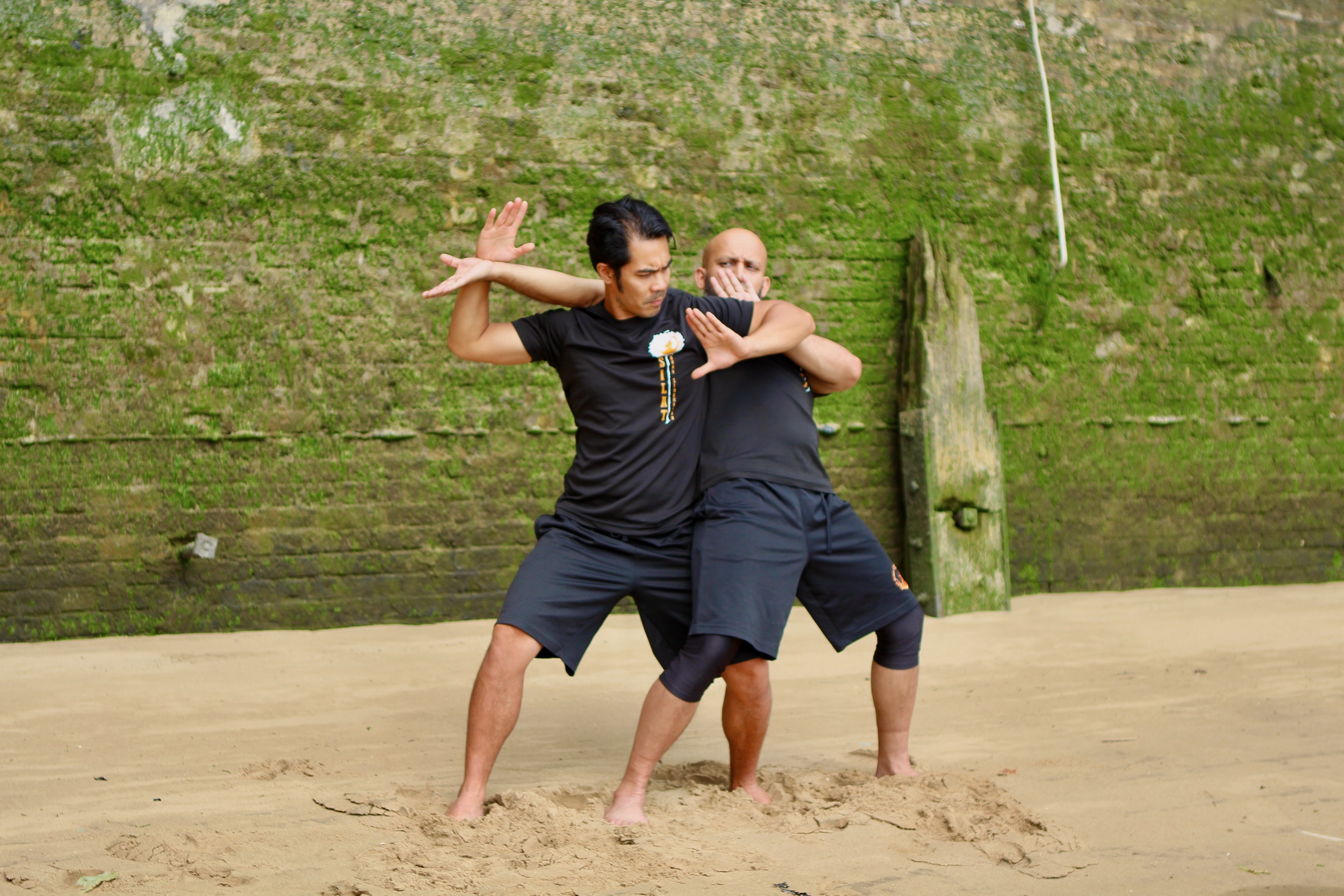 Phase 2 </br> Upright Fighting image